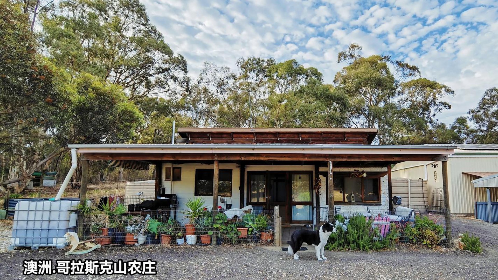 钓鱼岛渡假庄园