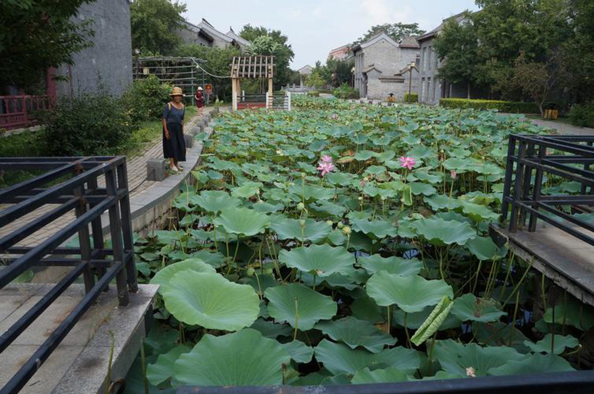 钓鱼岛渡假庄园
